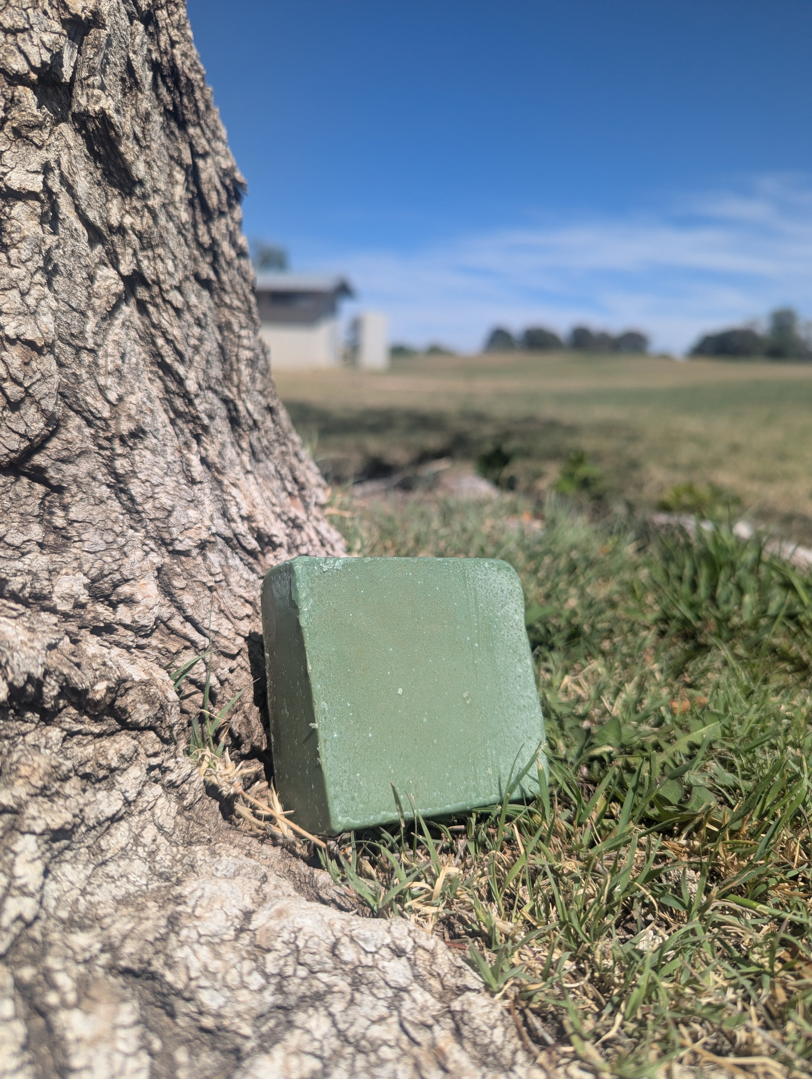 Green Apple