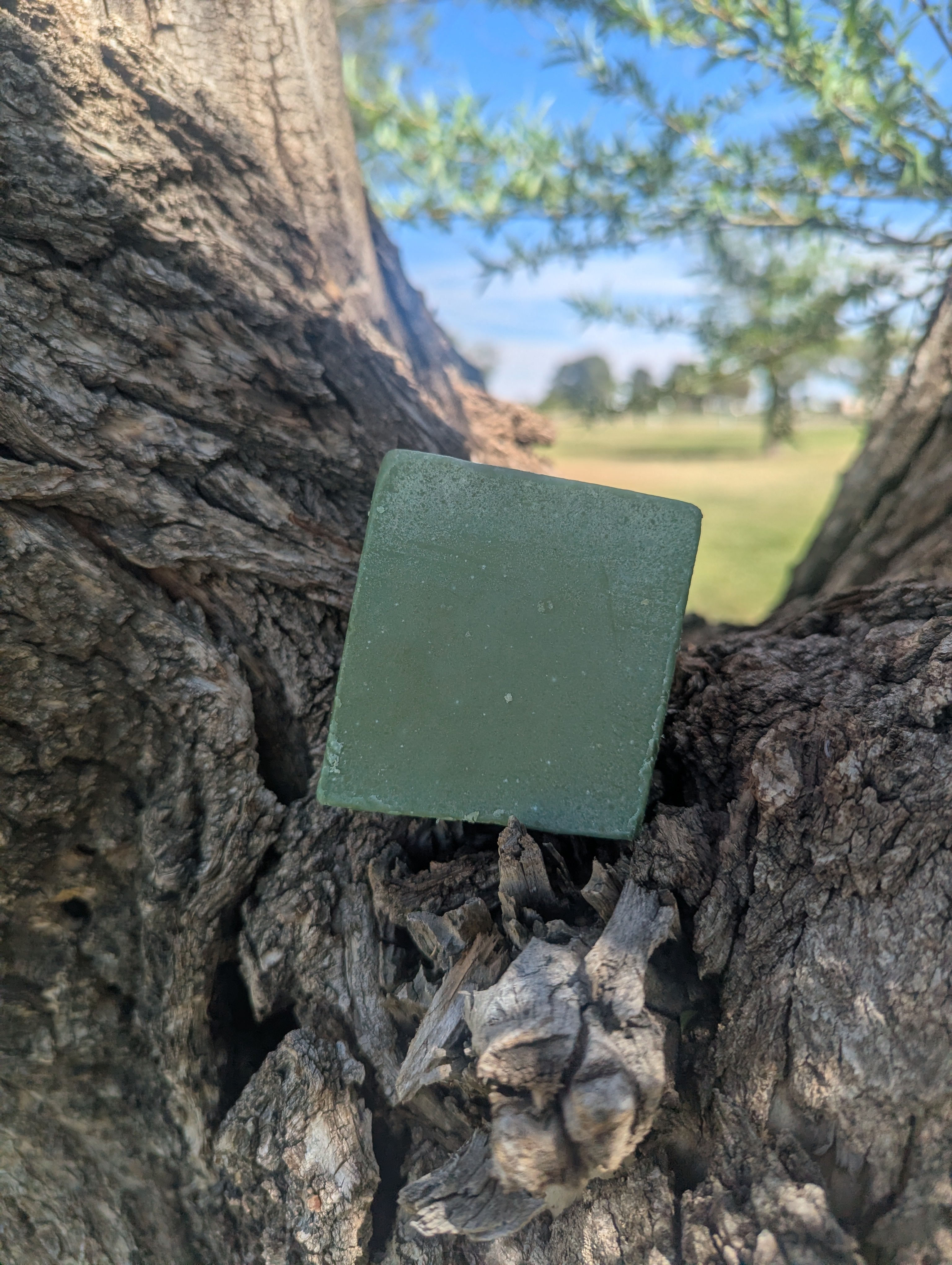 Green Apple